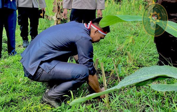 57 KETUA PENGADILAN AGAMA BINTUHAN IKUTI PENANAMAN 1.000 POHON PARTISIPASI LESTARIKAN NEGERI 2