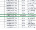 Alhamdulillah, Wakil Ketua PA-Bintuhan Lulus E-Test